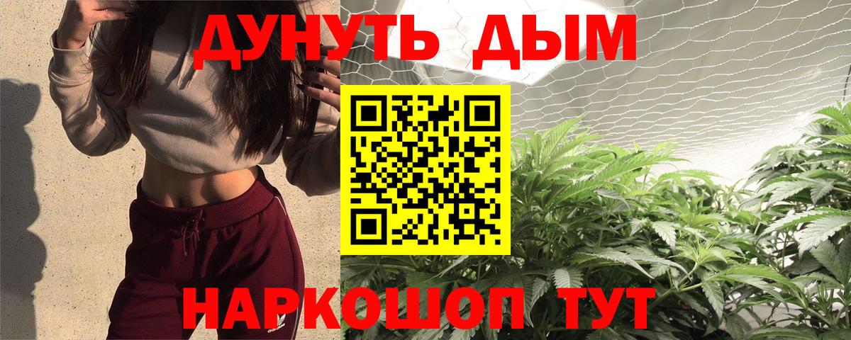 Каннабис план Ульяновск